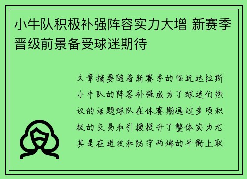 小牛队积极补强阵容实力大增 新赛季晋级前景备受球迷期待