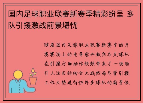 国内足球职业联赛新赛季精彩纷呈 多队引援激战前景堪忧