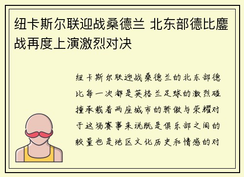 纽卡斯尔联迎战桑德兰 北东部德比鏖战再度上演激烈对决