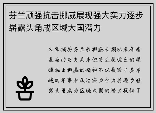 芬兰顽强抗击挪威展现强大实力逐步崭露头角成区域大国潜力